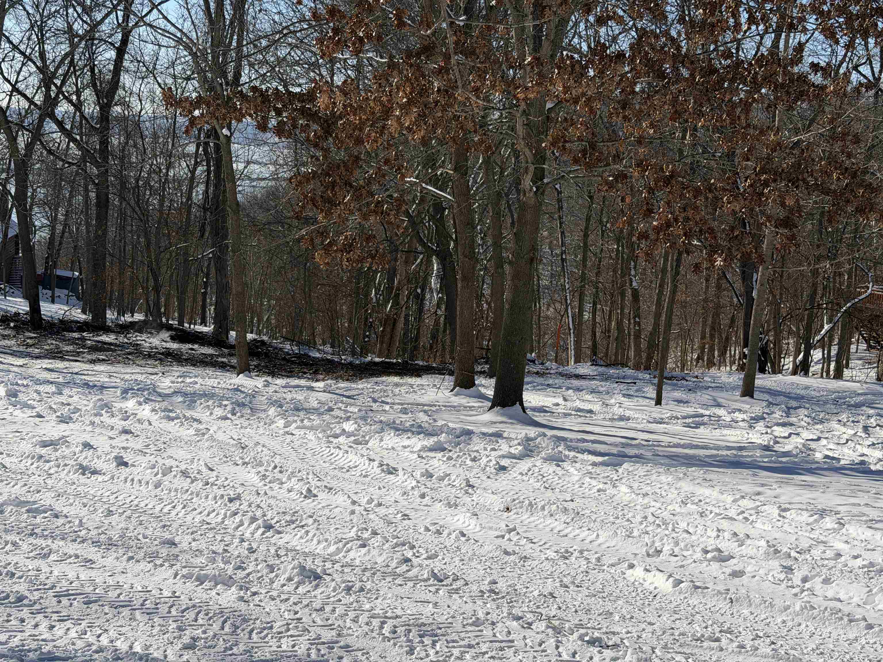 20549 Big Timber Ridge Road Eastman, WI 54626 - Photo 4 of 29