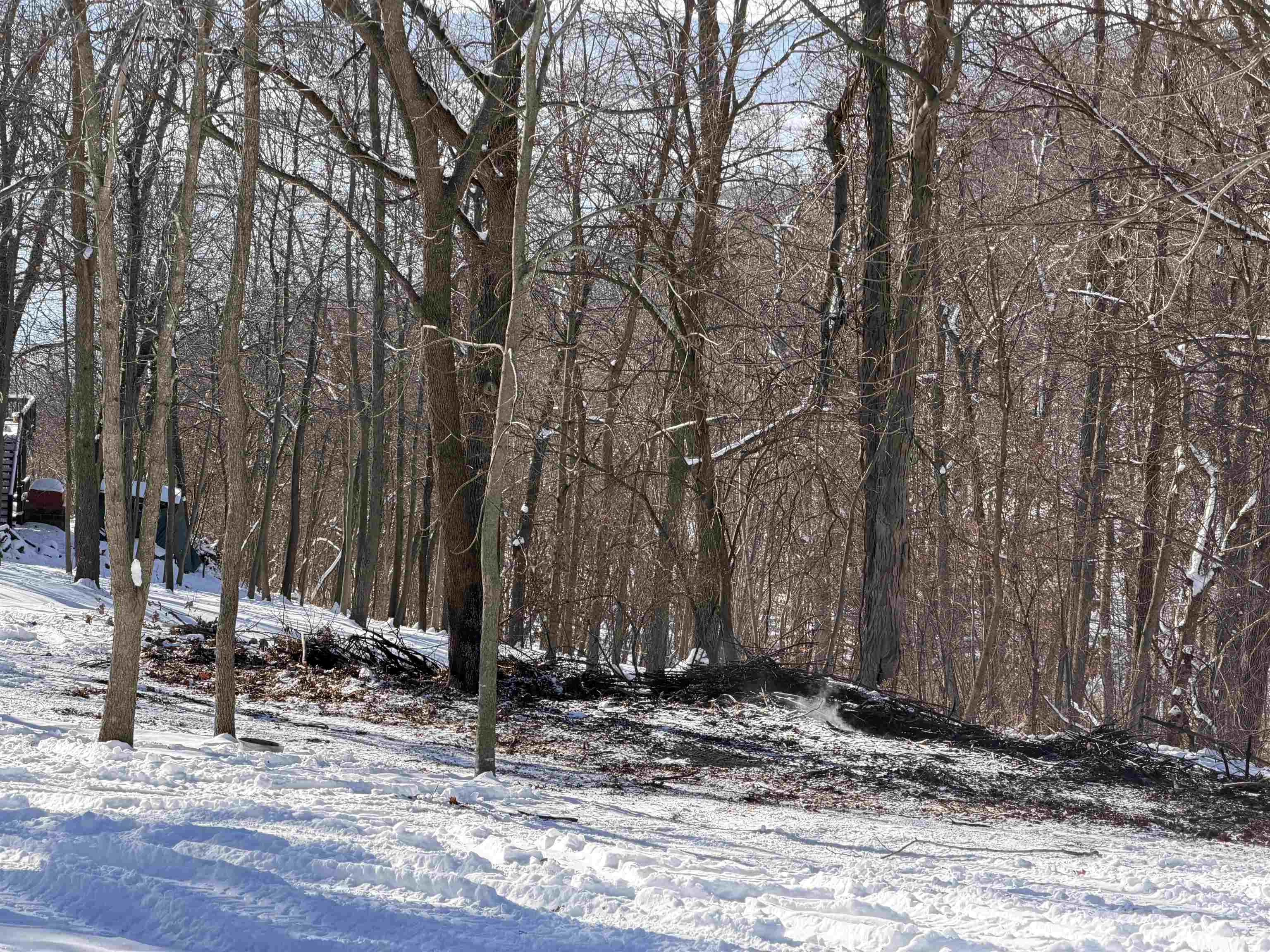 20549 Big Timber Ridge Road Eastman, WI 54626 - Photo 5 of 29