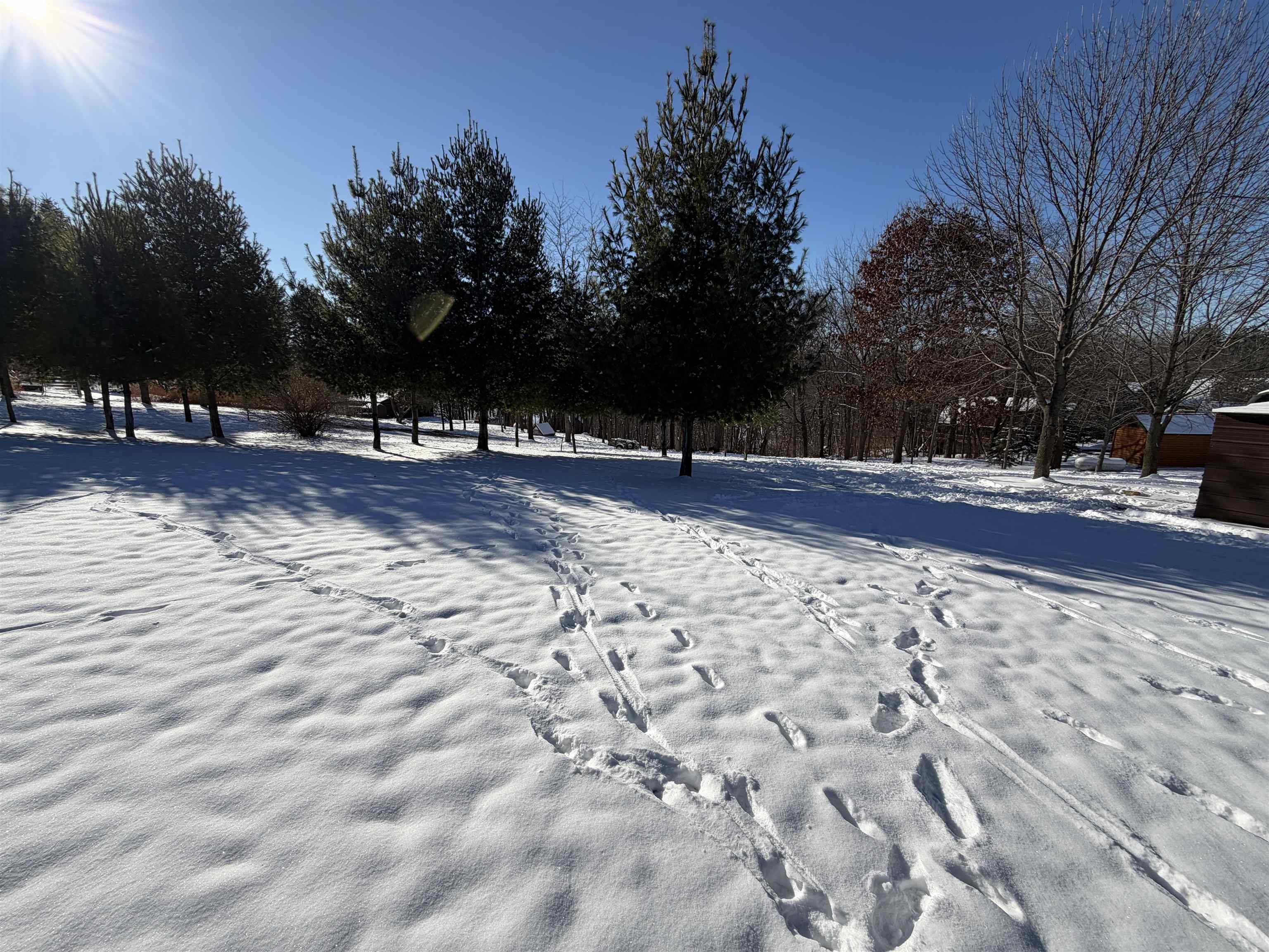 20549 Big Timber Ridge Road Eastman, WI 54626 - Photo 7 of 29