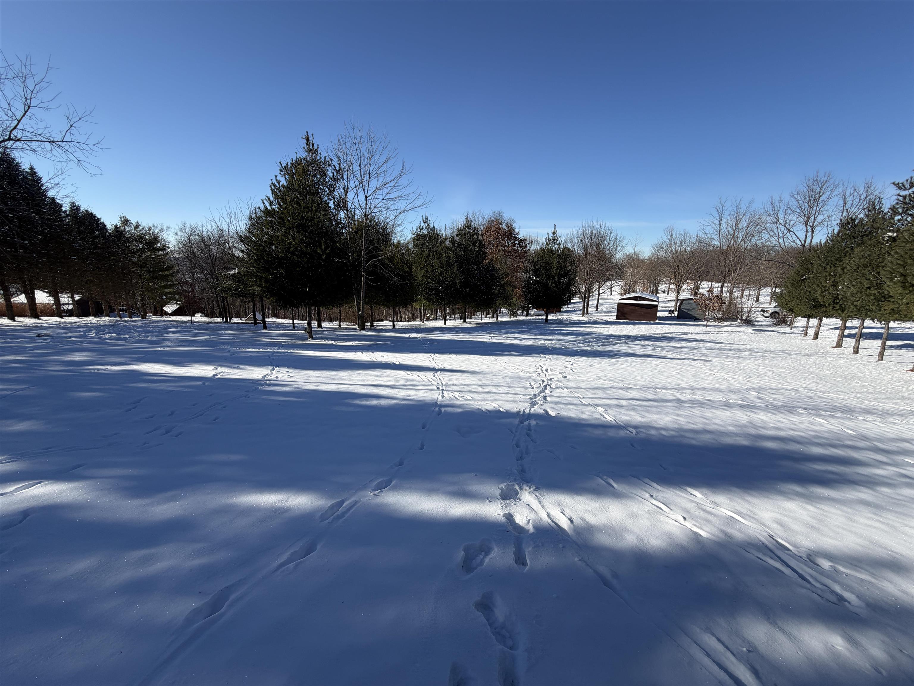 20549 Big Timber Ridge Road Eastman, WI 54626 - Photo 8 of 29