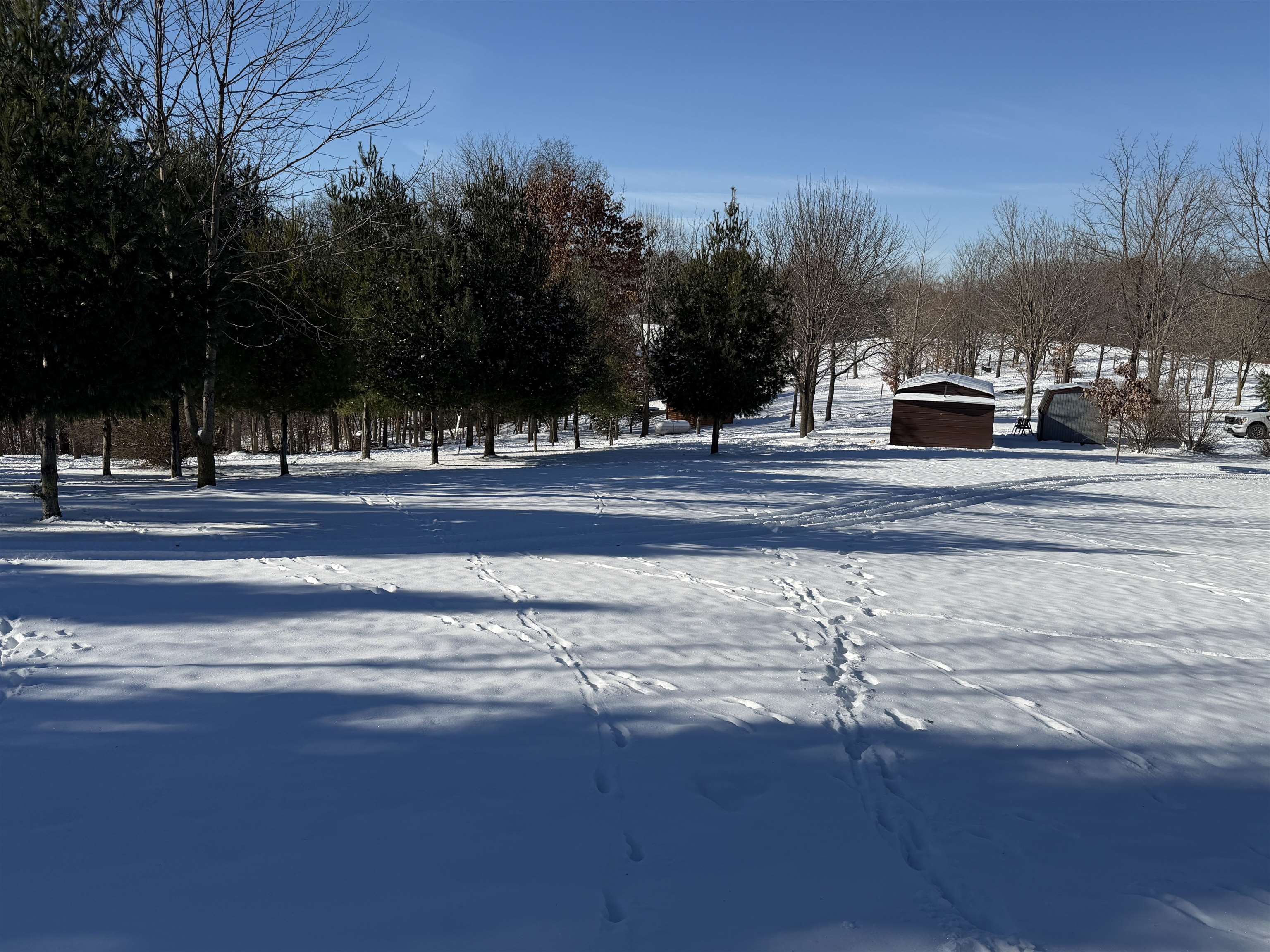 20549 Big Timber Ridge Road Eastman, WI 54626 - Photo 9 of 29