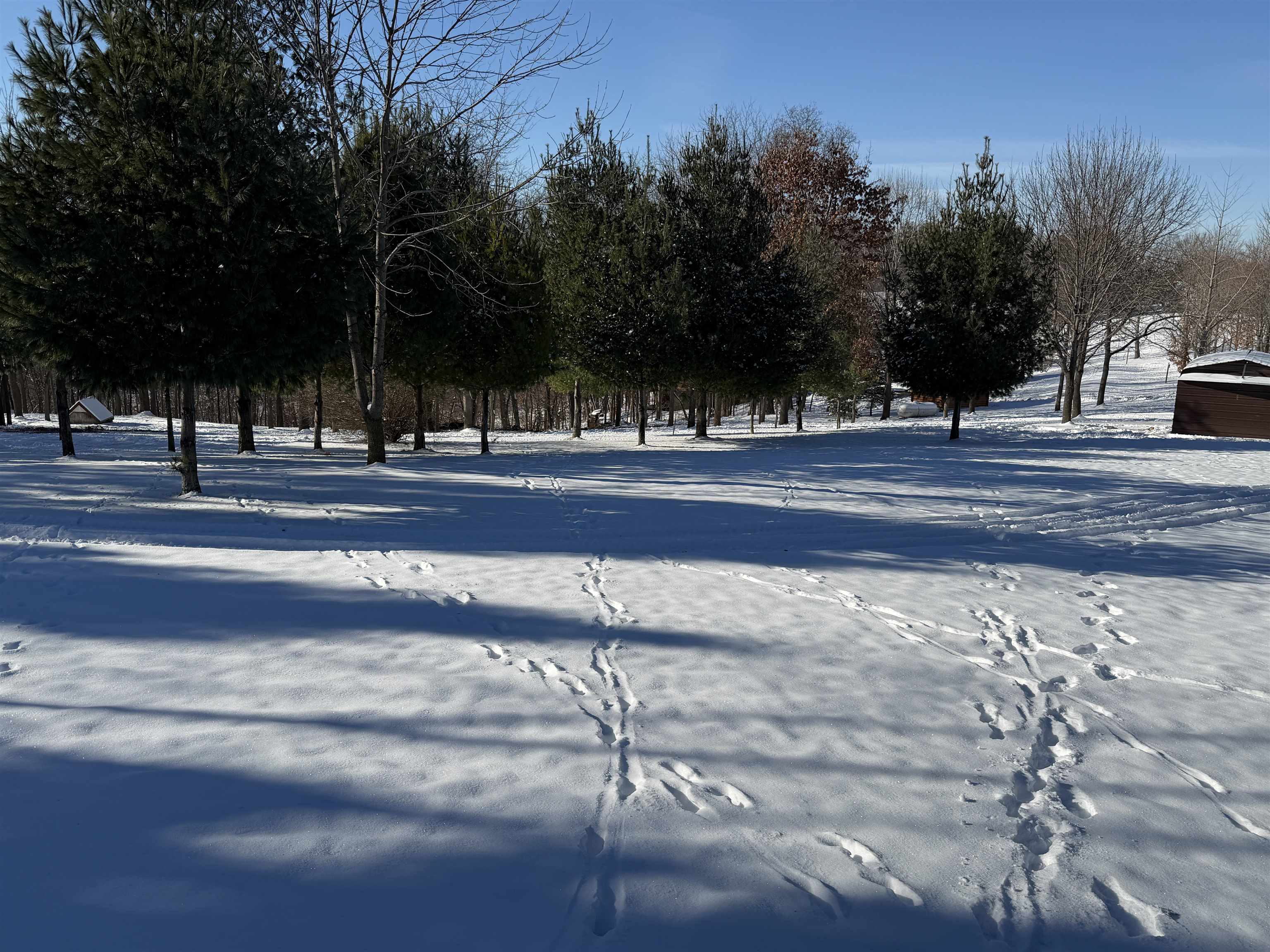 20549 Big Timber Ridge Road Eastman, WI 54626 - Photo 10 of 29