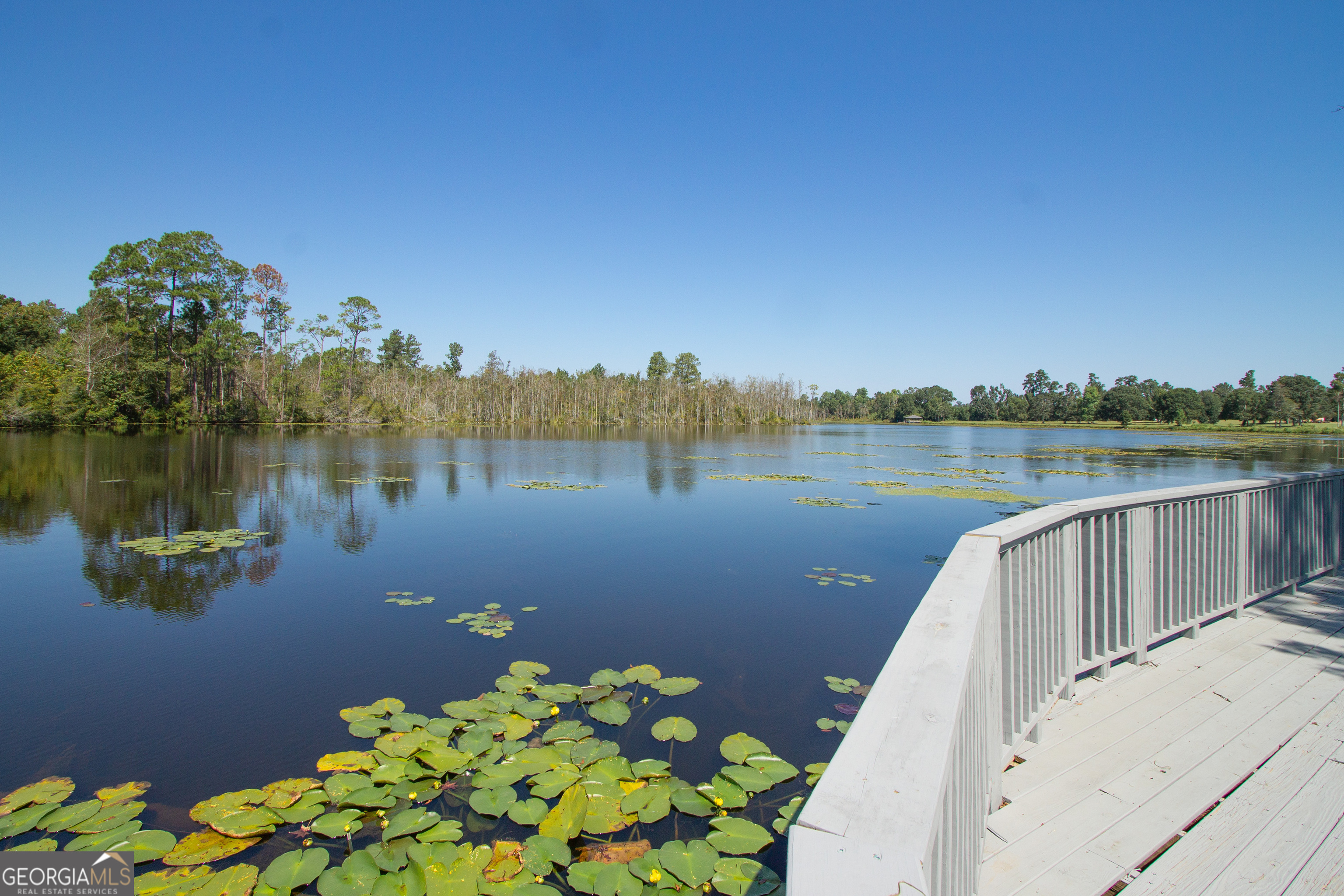 477 Jack Kennedy Road Statesboro, GA 30458 - Photo 28 of 32 a view of a lake with houses in the back