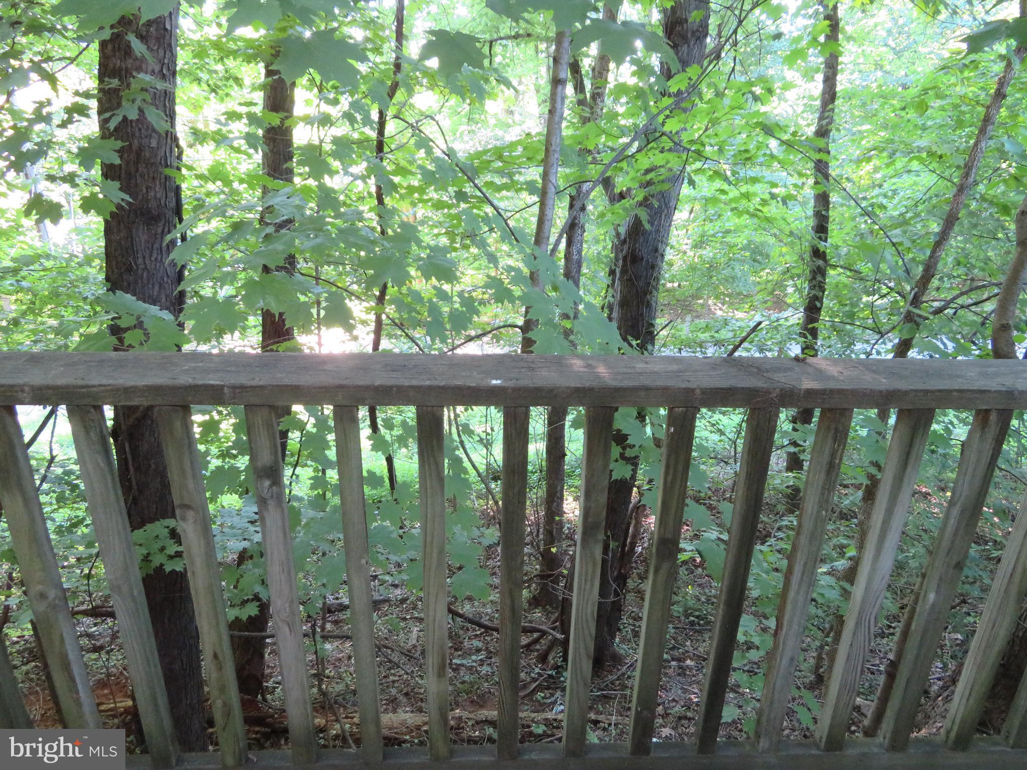 Block 81-lot #16 Block 81-lot Road Falling Waters, WV 25419 - Photo 6 of 29 View From Back Deck