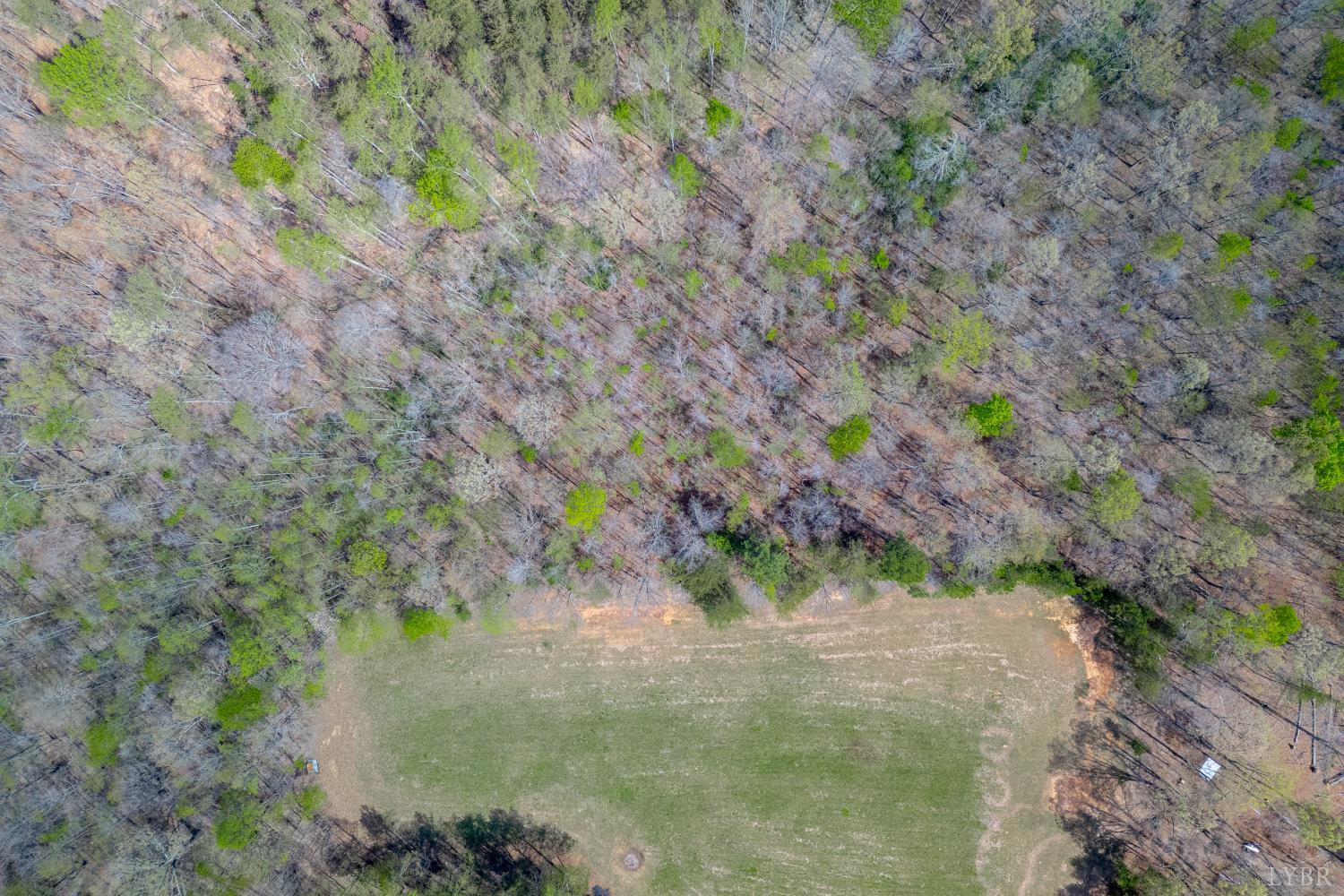 0 Lots 7-10 Lewis Ford Road Brookneal, VA 24528 - Photo 9 of 28 a view of a lake with a forest