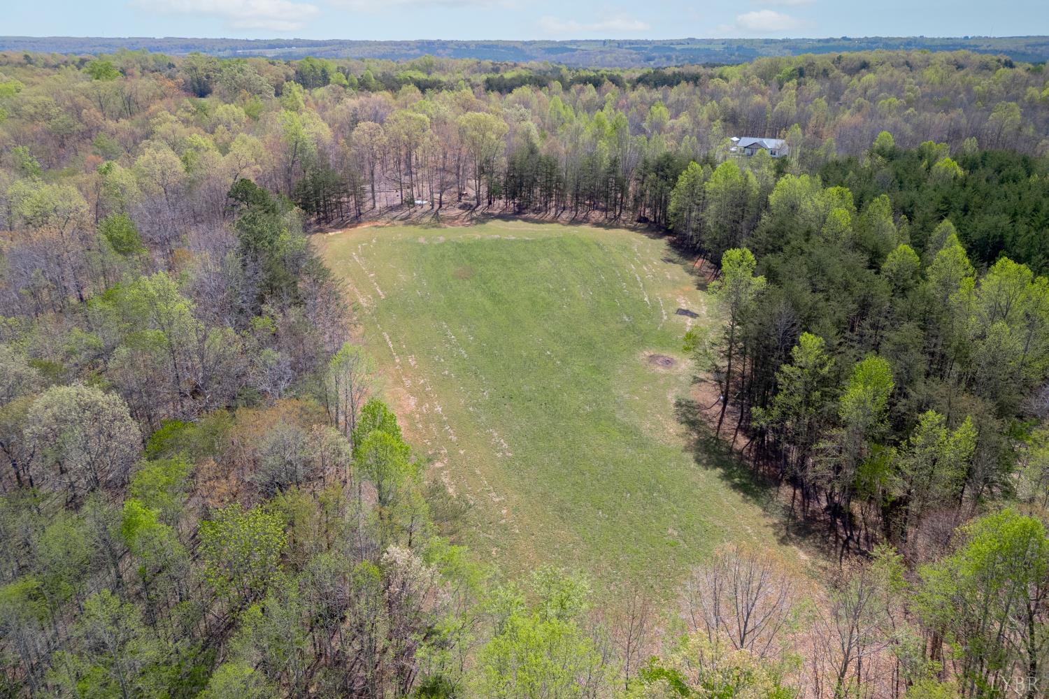 0 Lots 7-10 Lewis Ford Road Brookneal, VA 24528 - Photo 10 of 28 a view of a lush green forest with a lake