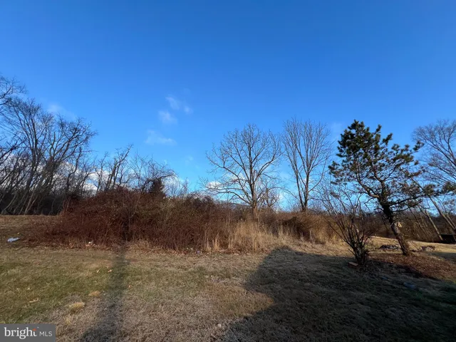 a view of dirt field and trees