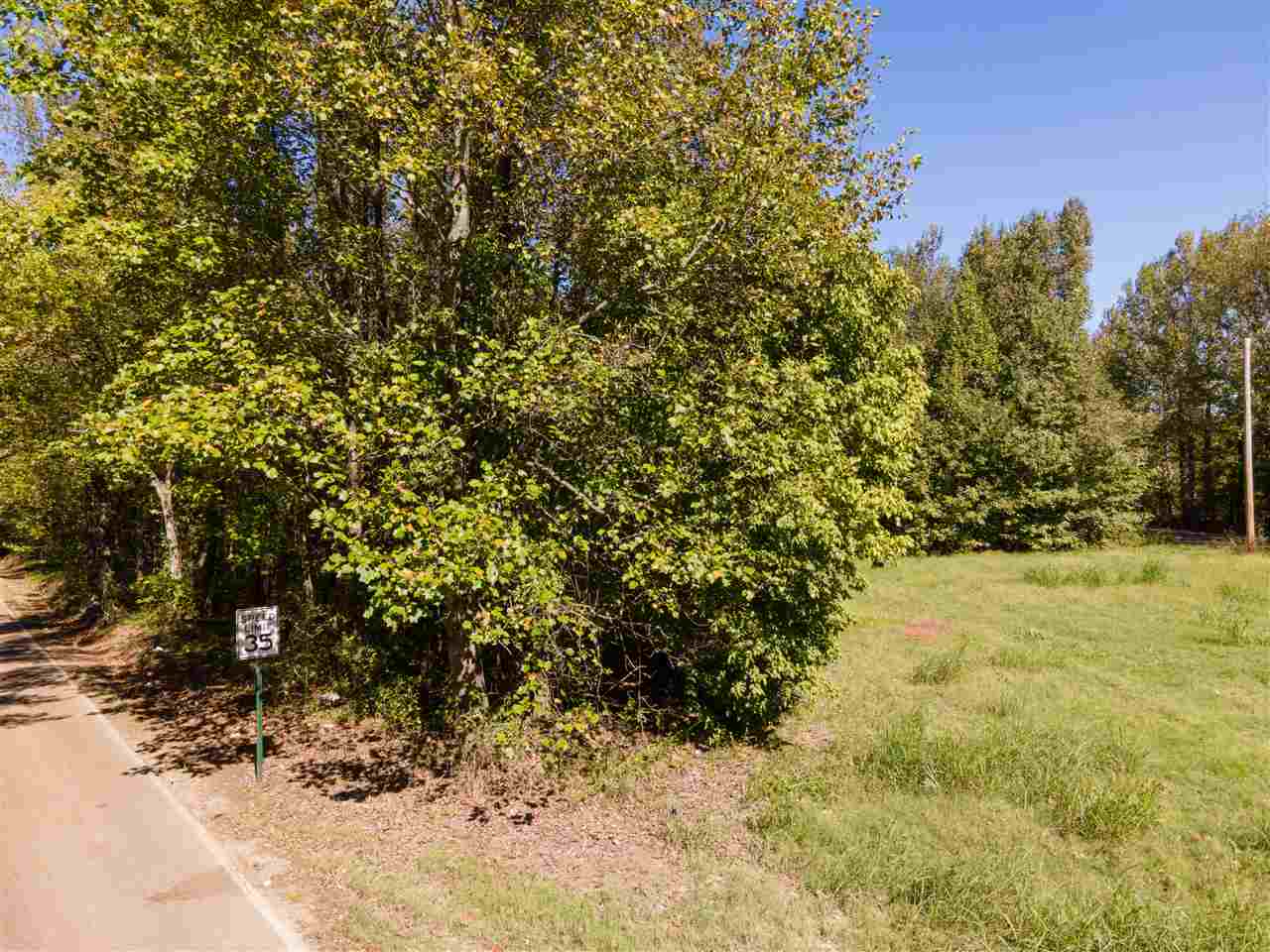 0 Brunswick Road Atoka, TN 38004 - Photo 1 of 5