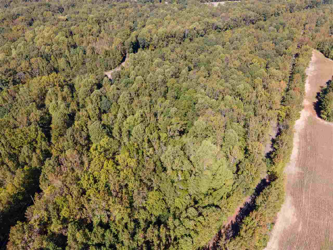 0 Brunswick Road Atoka, TN 38004 - Photo 2 of 5