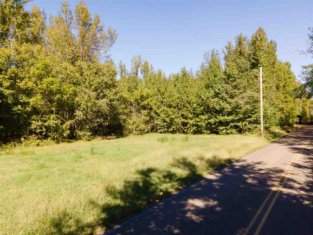 0 Brunswick Road Atoka, TN 38004 - Photo 3 of 5