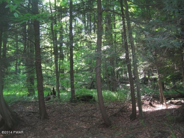 51 Sterling Shrs Road Lake Ariel, PA 18436 - Photo 6 of 8