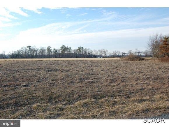 Old Hickory Road Laurel, DE 19956 - Photo 1 of 3 Gallery Image 1