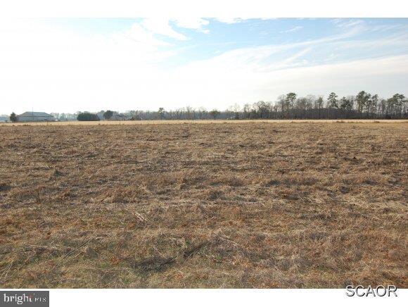 Old Hickory Road Laurel, DE 19956 - Photo 2 of 3 Gallery Image 2