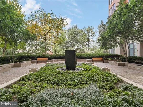 a view of a park with large trees