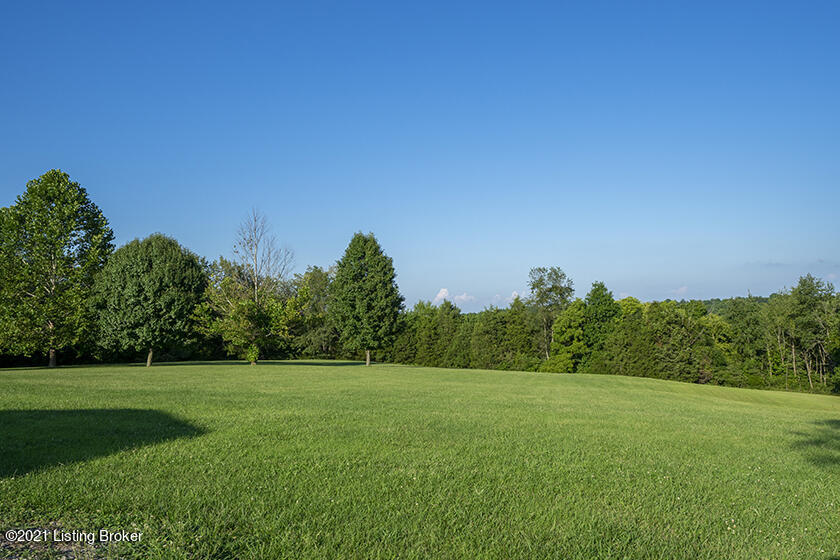 1096 Cecil Noel Road Bloomfield, KY 40008 - Photo 44 of 105 31