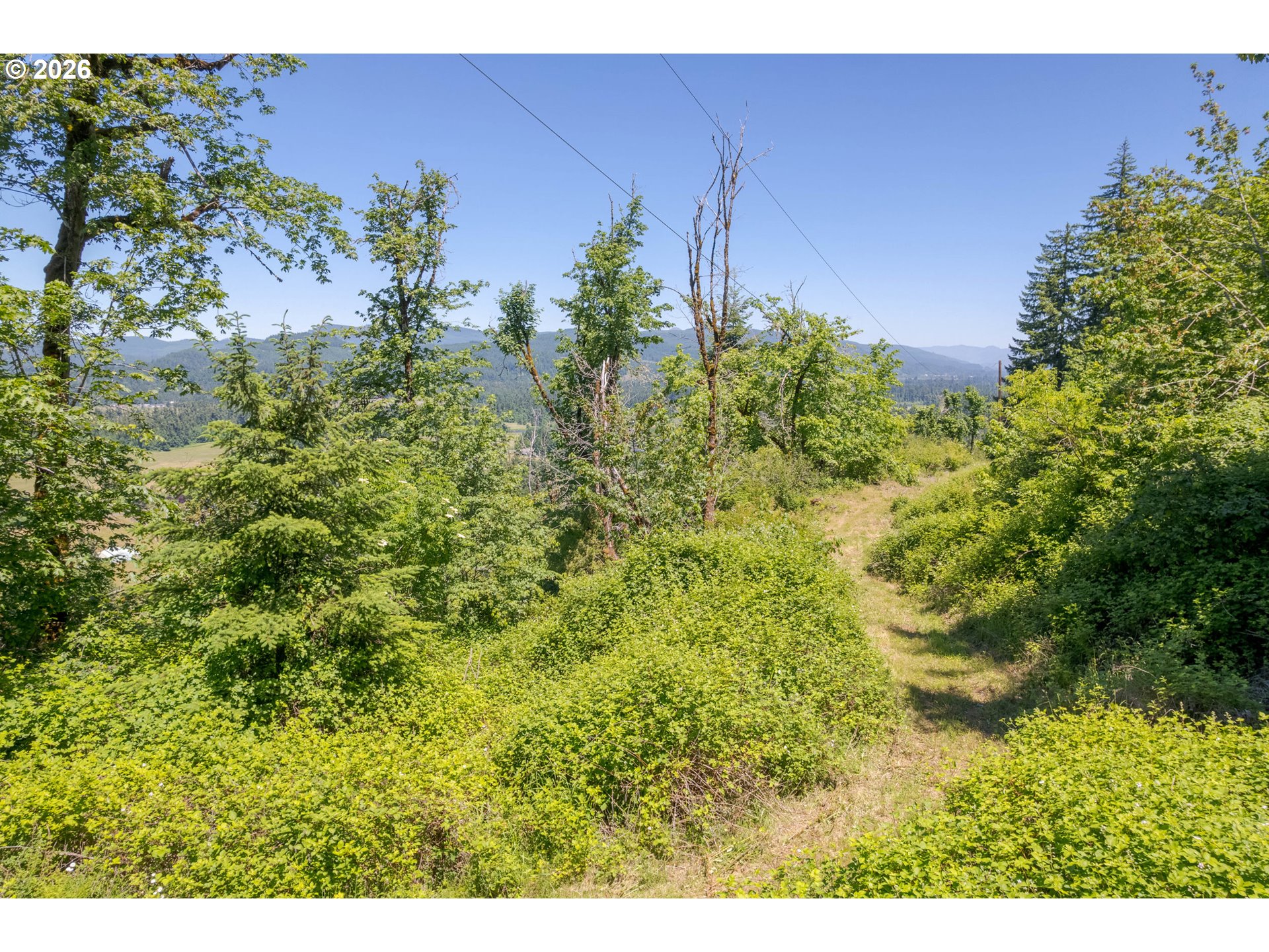 8563 McKenzie Highway Springfield, OR 97478 - Photo 31 of 35