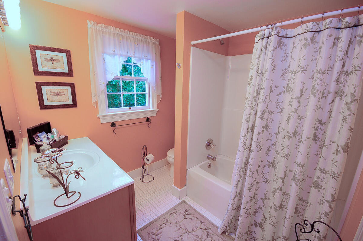 492 Greenhouse Road Lexington, VA 24450 - Photo 18 of 27 a bathroom with a granite countertop sink a toilet and shower