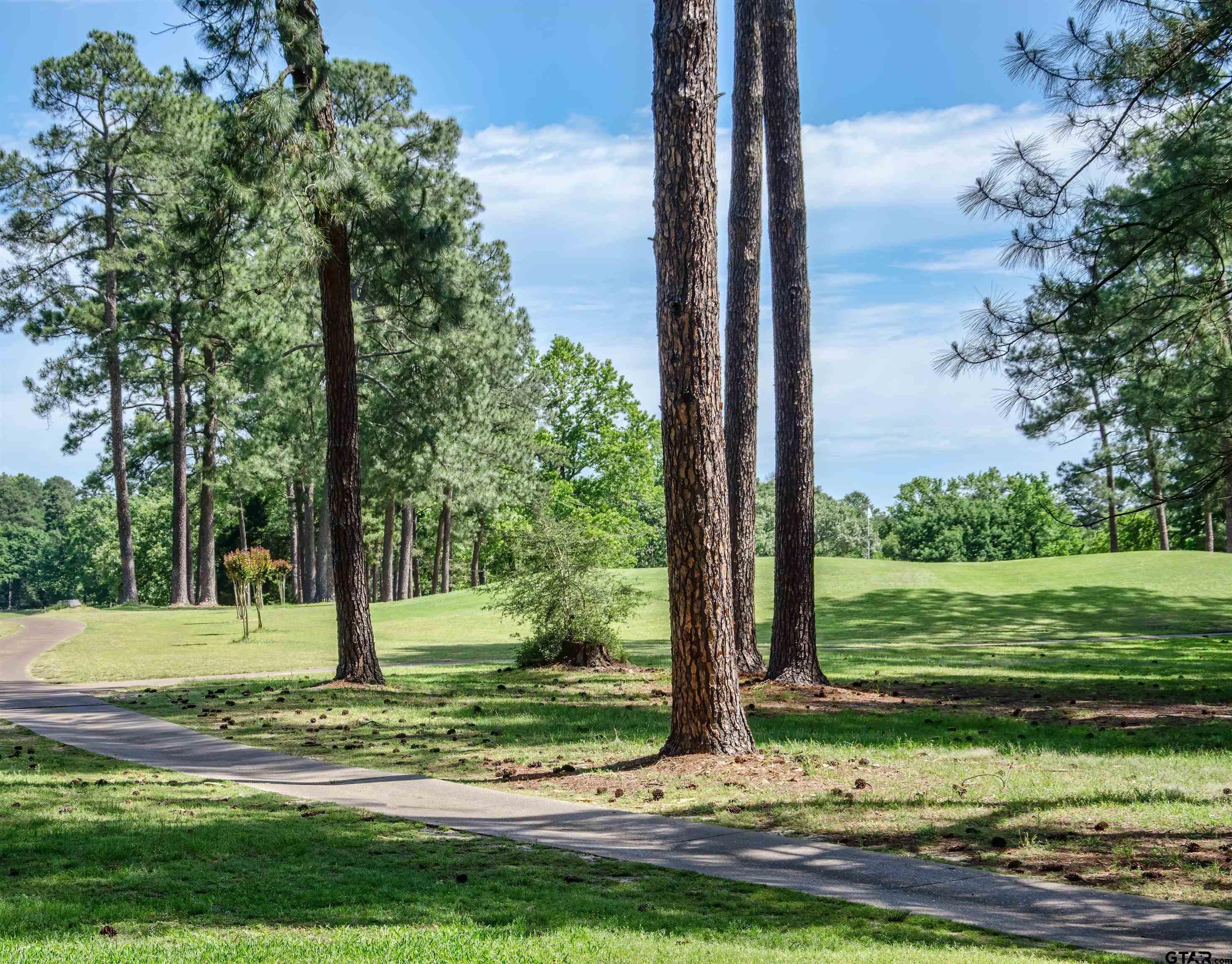 175 Old Gate Path Holly Lake Ranch, TX 75755 - Photo 27 of 28
