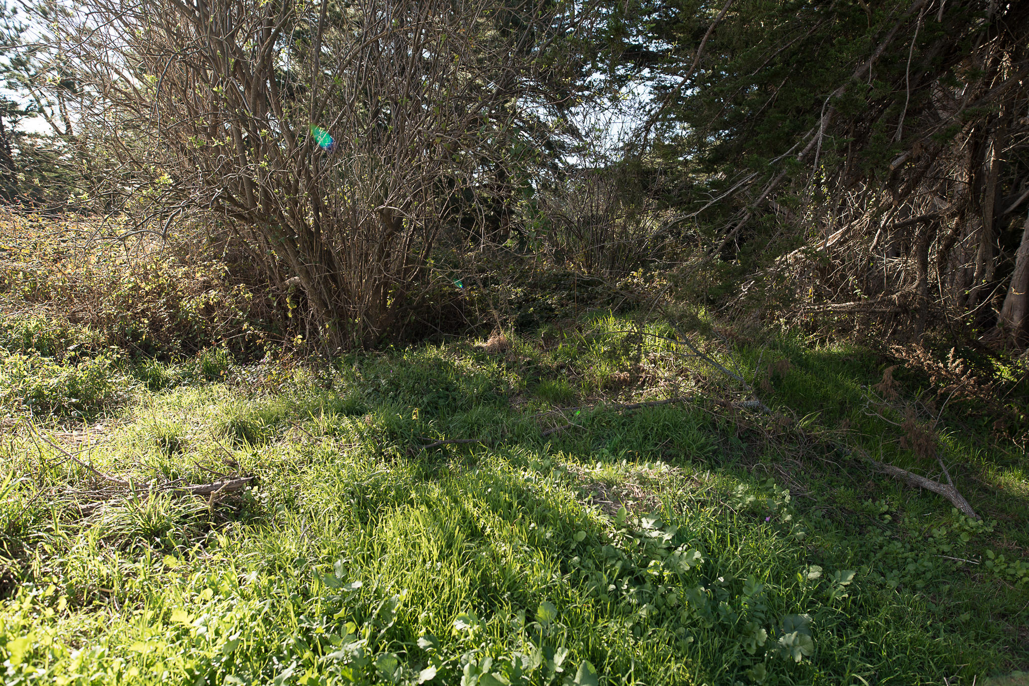 7156 Humboldt Hill Road Eureka, CA 95503 - Photo 19 of 31