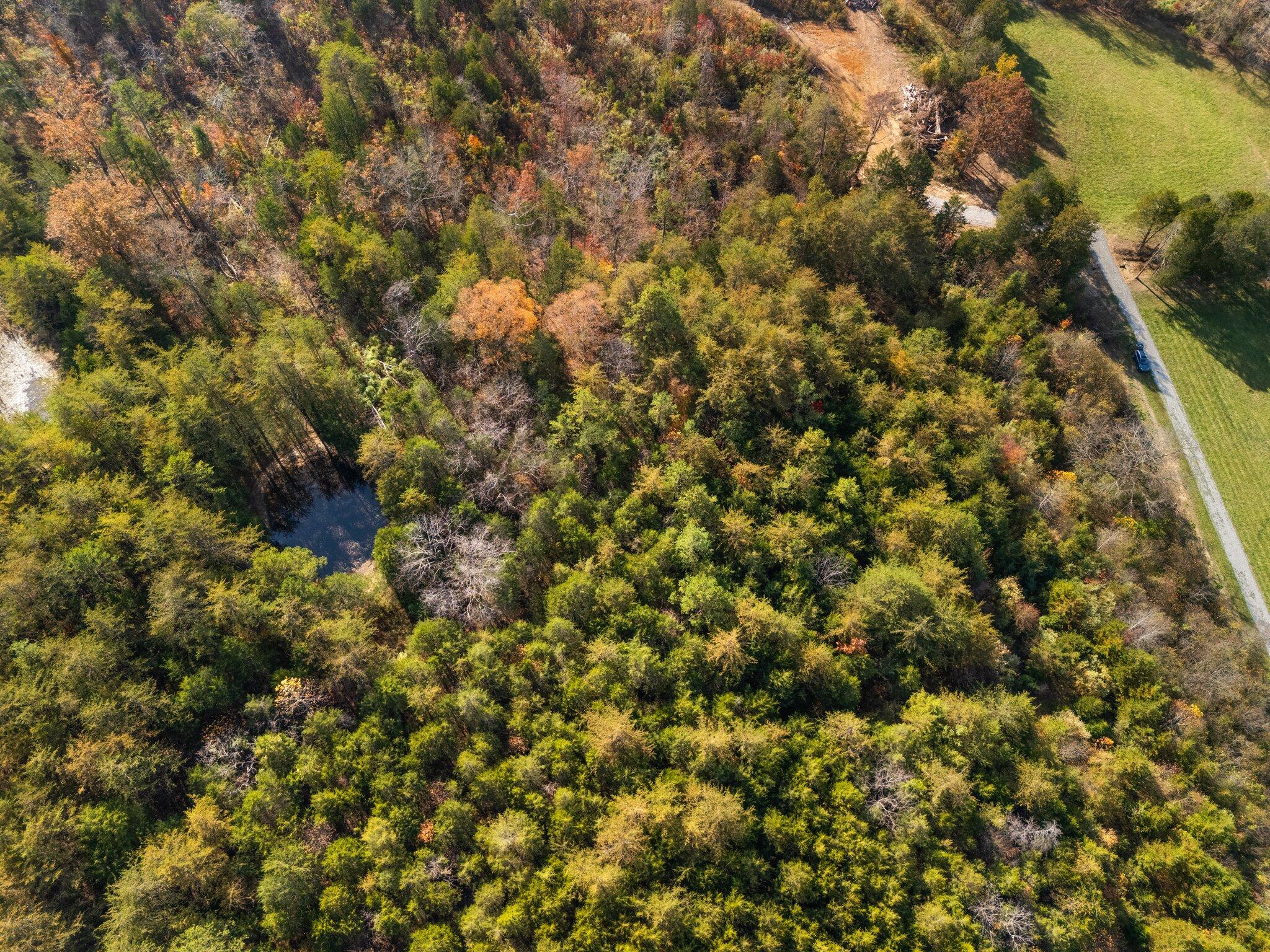 0 Flynn Road Bronston, KY 42518 - Photo 7 of 21 21-web-or-mls-DJI_20241029150301_0252_D