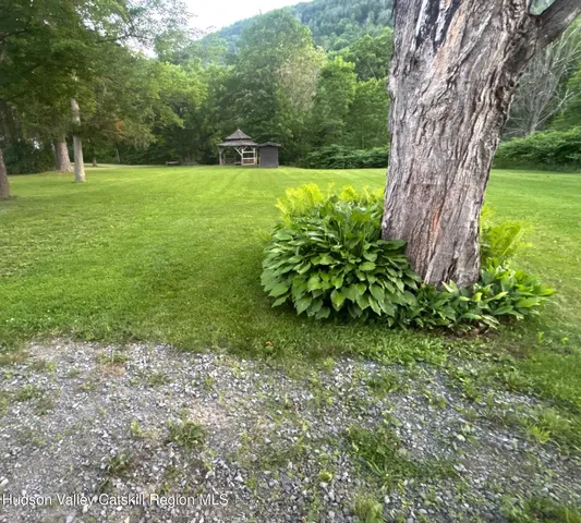 a view of a forest filled with trees