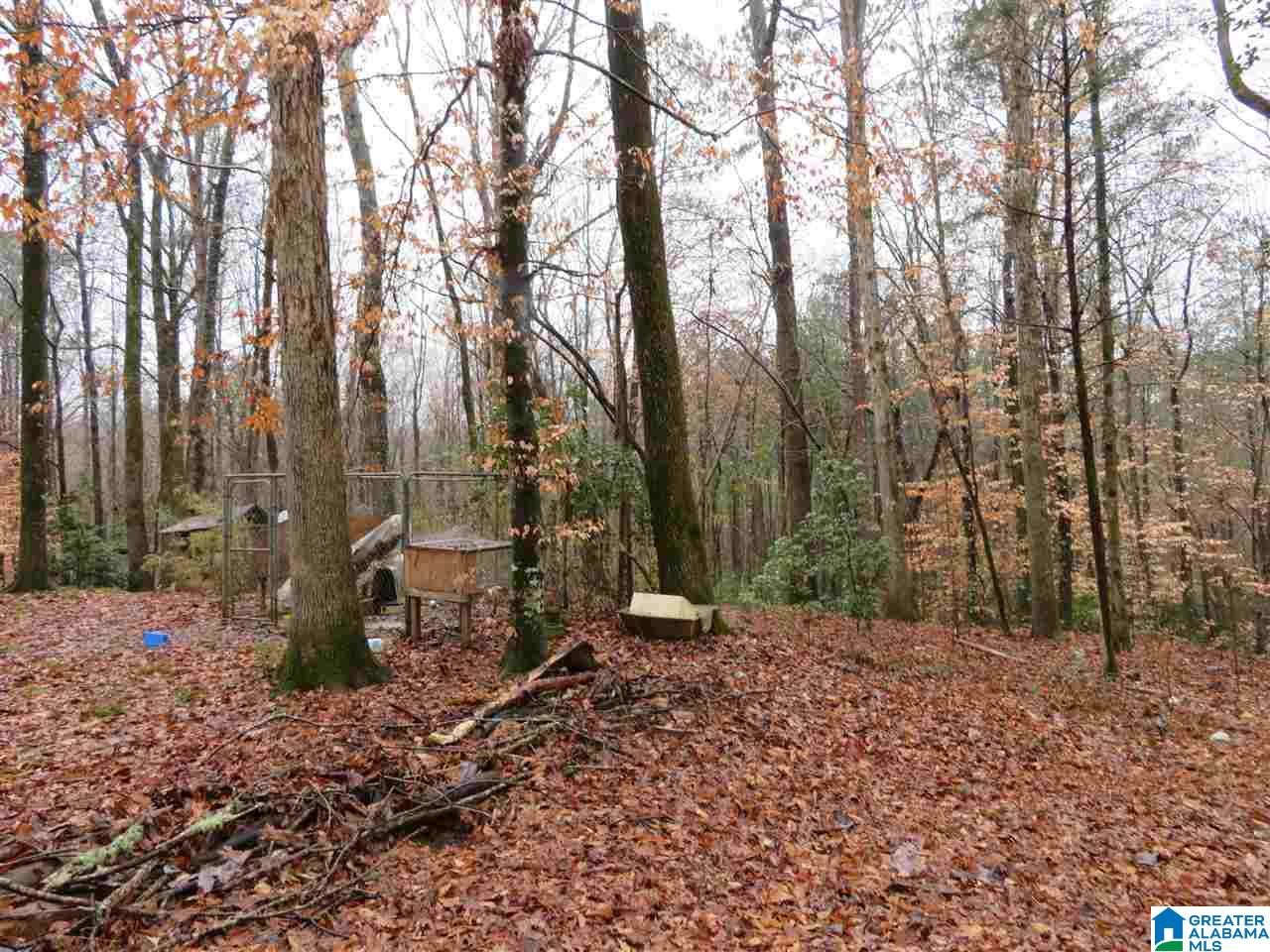 138 Cedar Grove Road West Blocton, AL 35184 - Photo 41 of 44