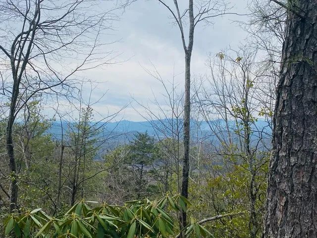 $14,000 | Lot 46 Ridge View Drive, Andrews, NC 28901