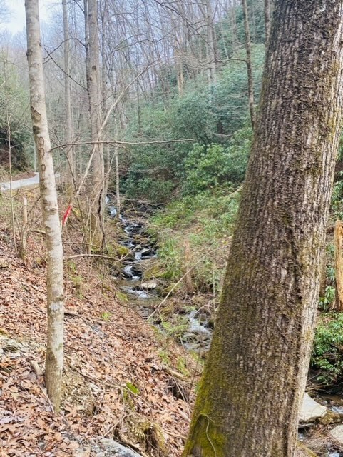 Lot 46 Ridge View Drive Andrews, NC 28901 - Photo 11 of 13 Creek on the way to property