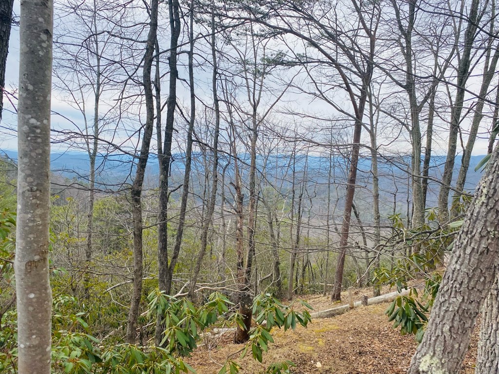 Lot 46 Ridge View Drive Andrews, NC 28901 - Photo 2 of 13