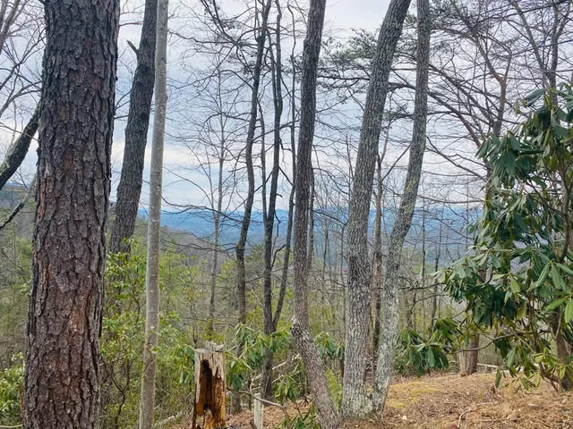 $14,000 | Lot 46 Ridge View Drive, Andrews, NC 28901