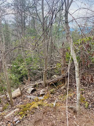 $14,000 | Lot 46 Ridge View Drive, Andrews, NC 28901