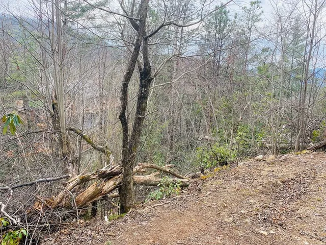 $14,000 | Lot 46 Ridge View Drive, Andrews, NC 28901