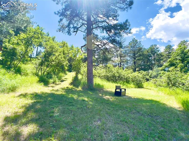 a park view with a fountain