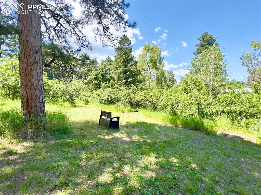 8149 Patti Drive Rye, CO 81069 - Photo 25 of 27 a view of a garden with a bench