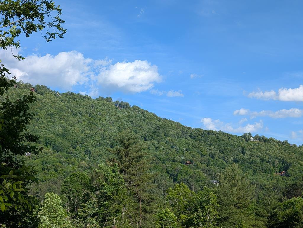 660 Mountain Top Road Marble, NC 28905 - Photo 2 of 20 view from front