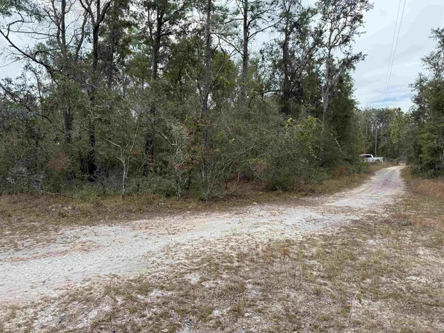 $75,000 | 526 Northeast N Riverbend Way, Pinetta, FL 32350
