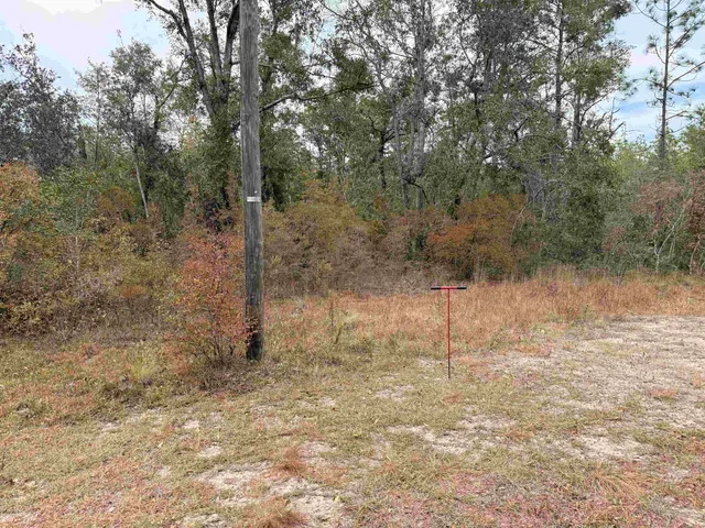 $75,000 | 526 Northeast N Riverbend Way, Pinetta, FL 32350