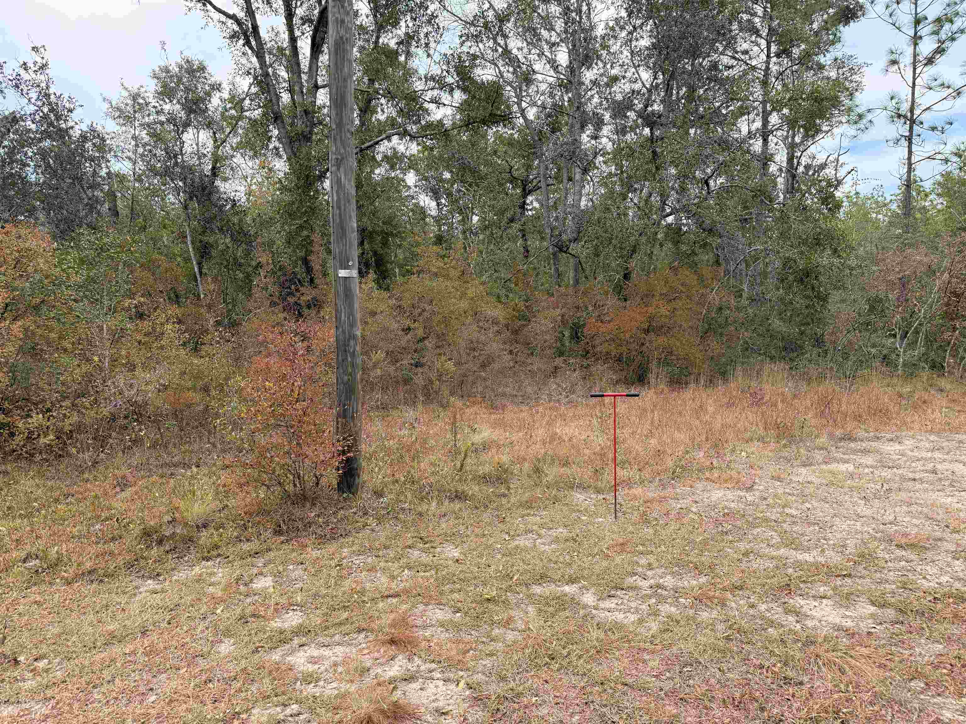 526 Northeast N Riverbend Way Pinetta, FL 32350 - Photo 12 of 26