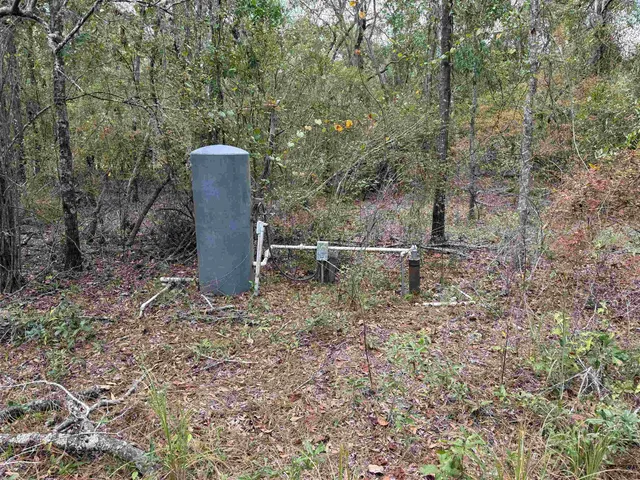 $75,000 | 526 Northeast N Riverbend Way, Pinetta, FL 32350