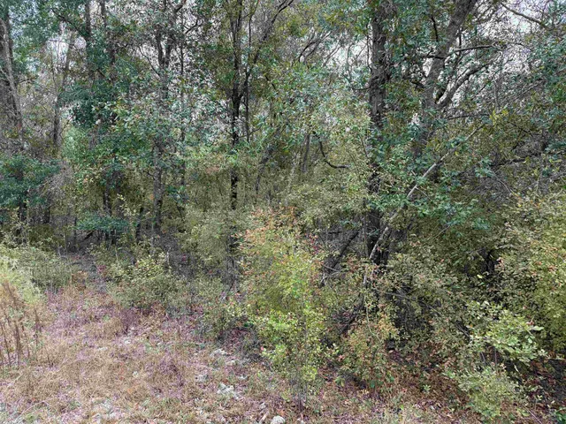 $75,000 | 526 Northeast N Riverbend Way, Pinetta, FL 32350