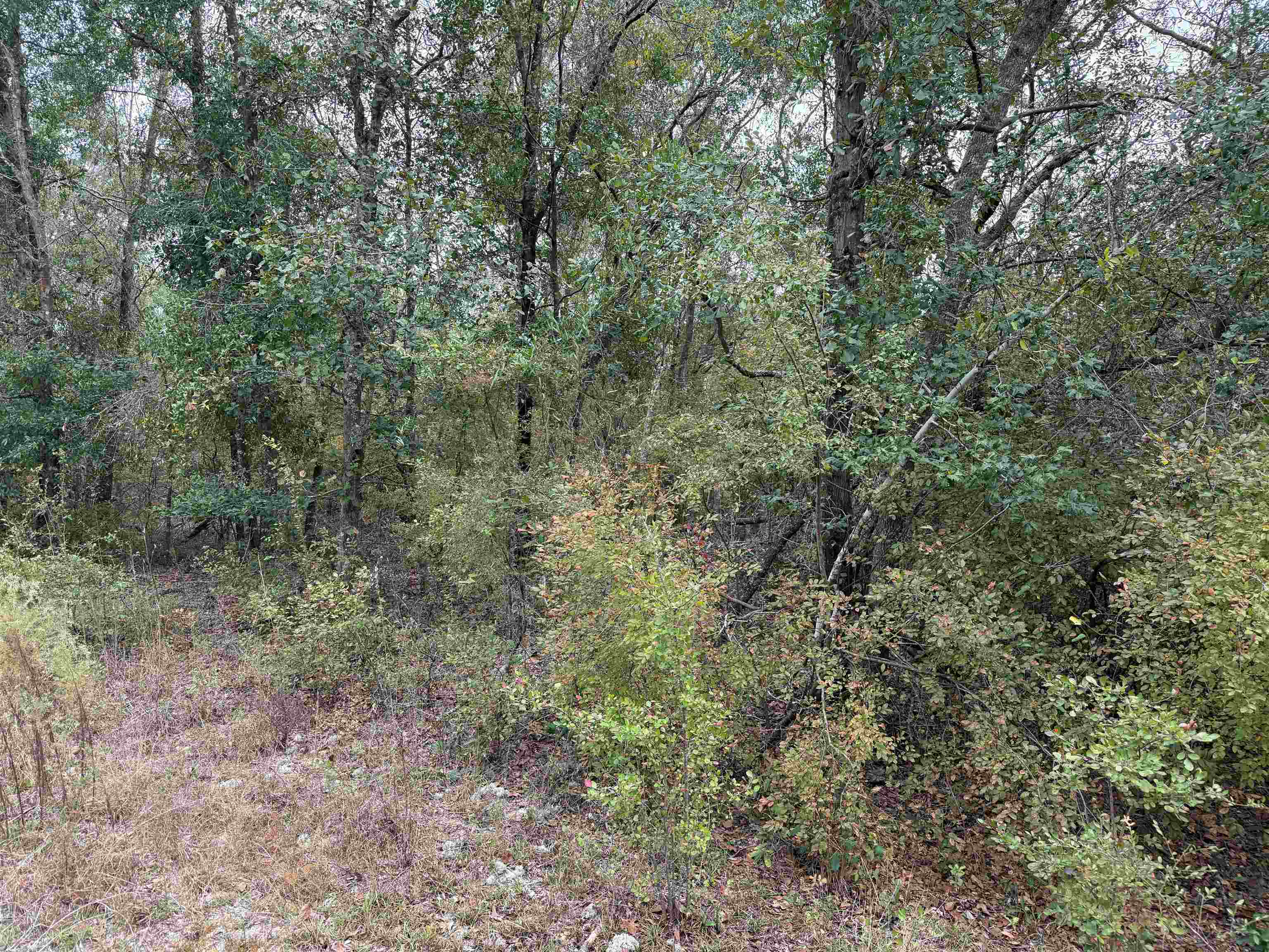 526 Northeast N Riverbend Way Pinetta, FL 32350 - Photo 16 of 26