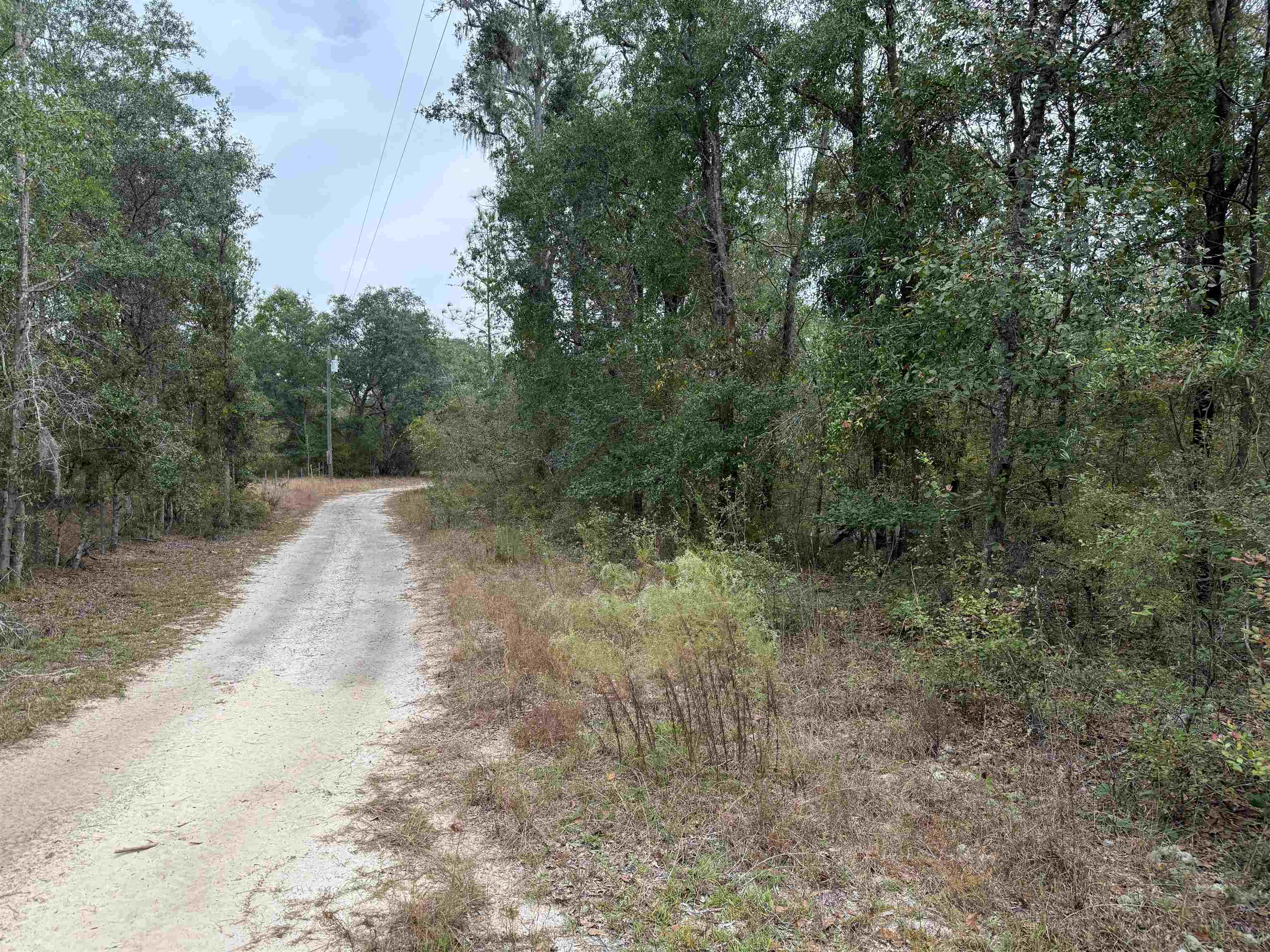 526 Northeast N Riverbend Way Pinetta, FL 32350 - Photo 17 of 26