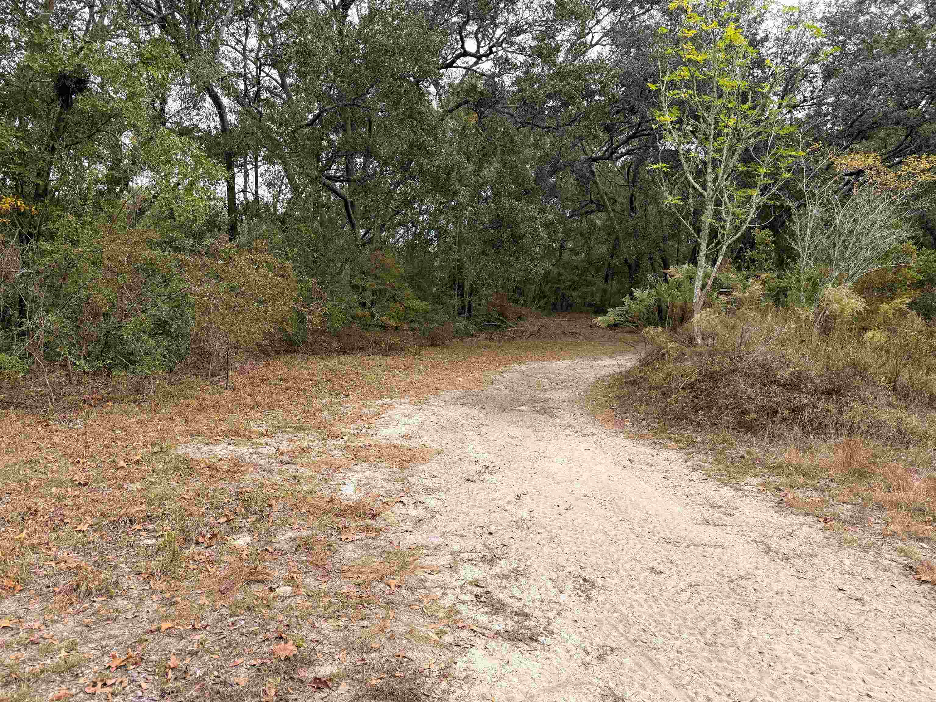 526 Northeast N Riverbend Way Pinetta, FL 32350 - Photo 2 of 26