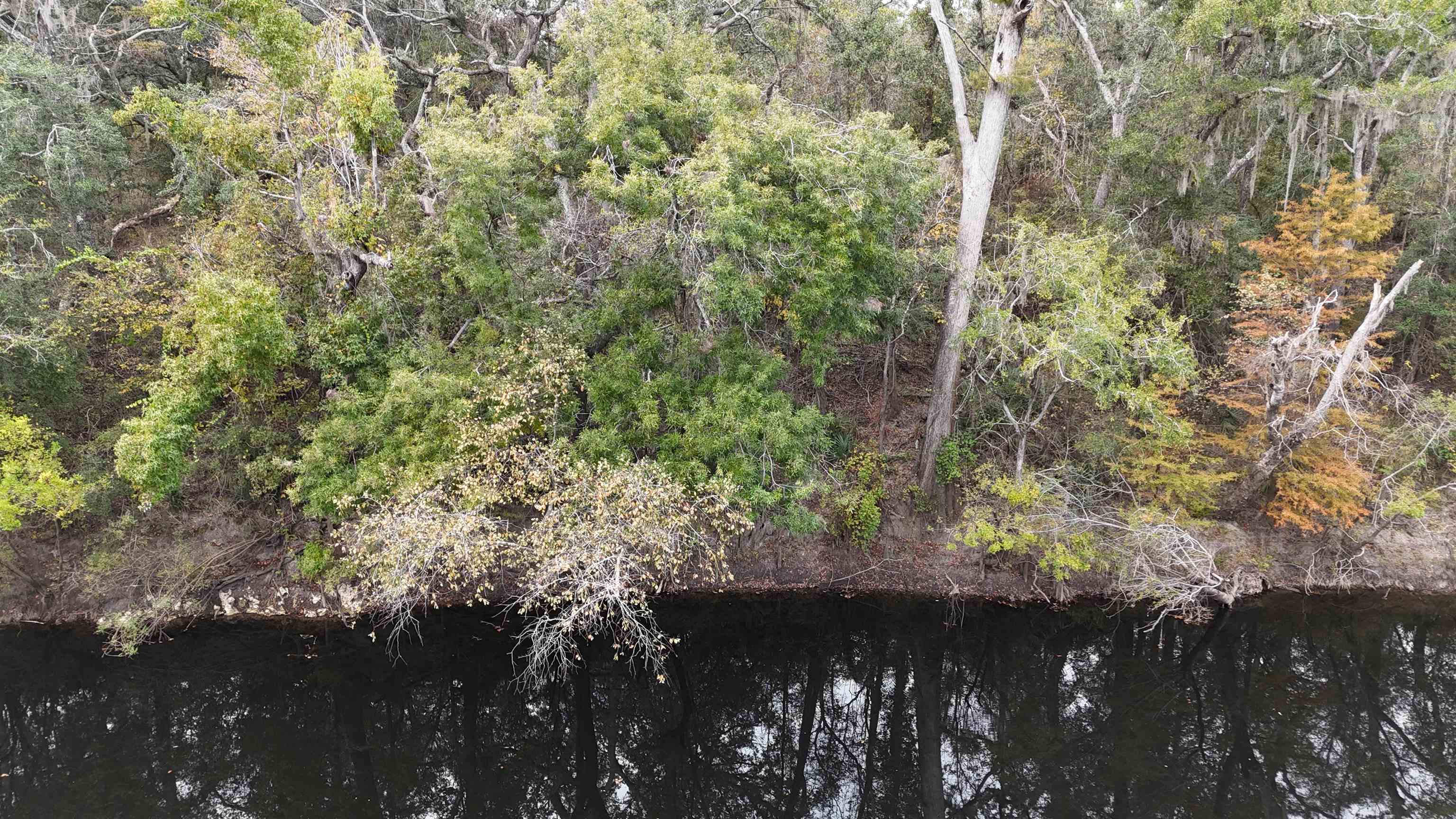 526 Northeast N Riverbend Way Pinetta, FL 32350 - Photo 21 of 26