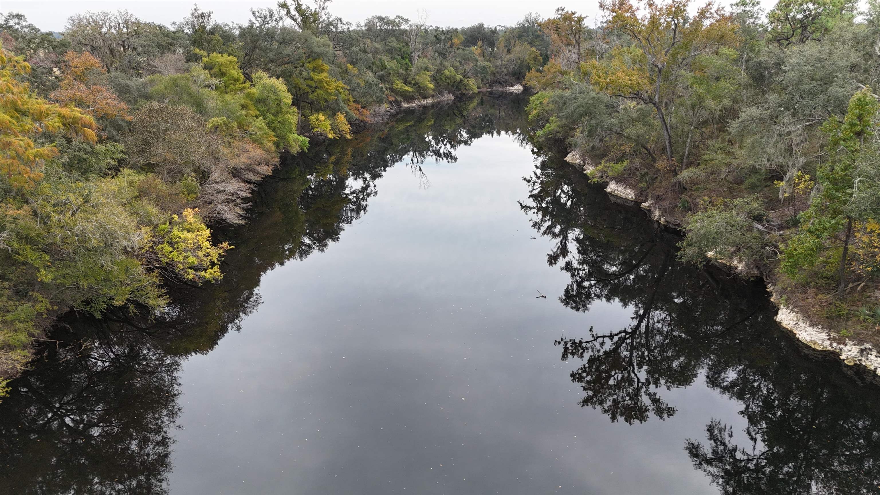 526 Northeast N Riverbend Way Pinetta, FL 32350 - Photo 22 of 26