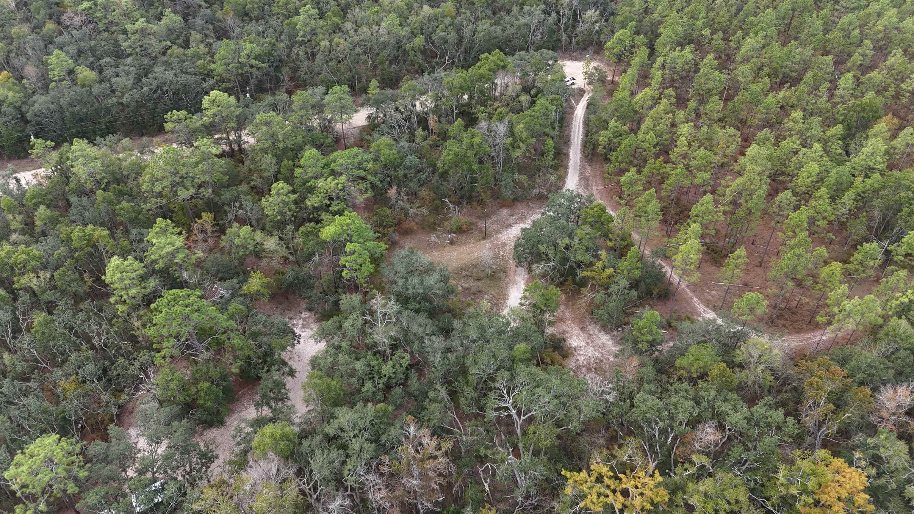 526 Northeast N Riverbend Way Pinetta, FL 32350 - Photo 23 of 26