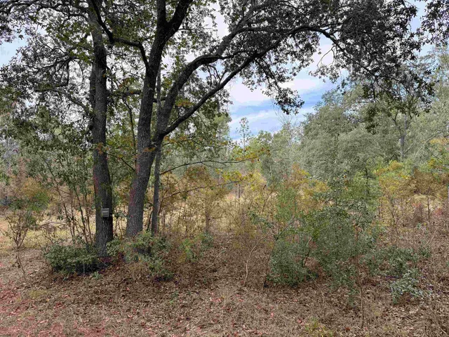 $75,000 | 526 Northeast N Riverbend Way, Pinetta, FL 32350