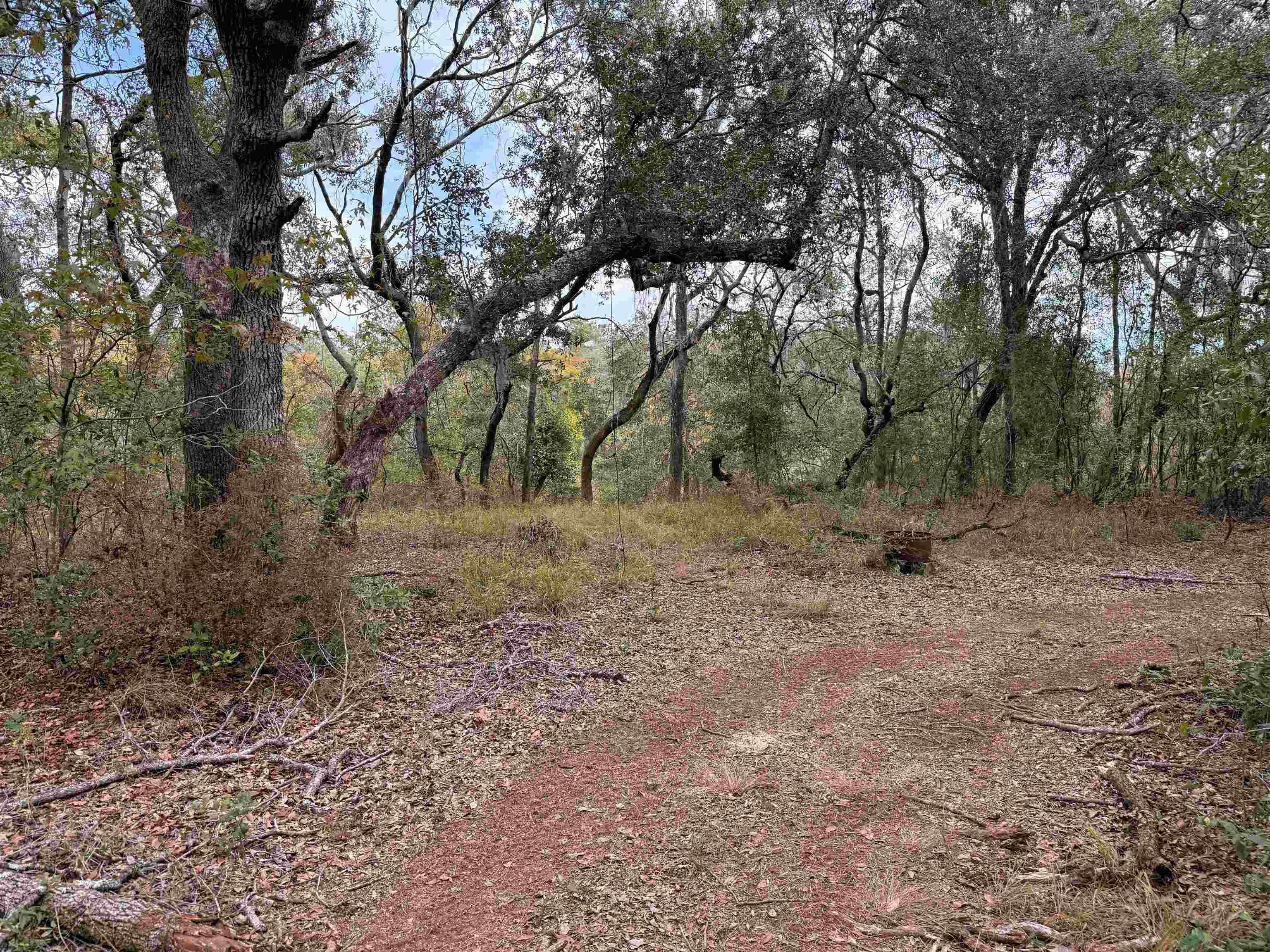 526 Northeast N Riverbend Way Pinetta, FL 32350 - Photo 5 of 26