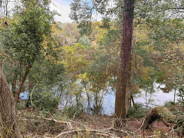 $75,000 | 526 Northeast N Riverbend Way, Pinetta, FL 32350