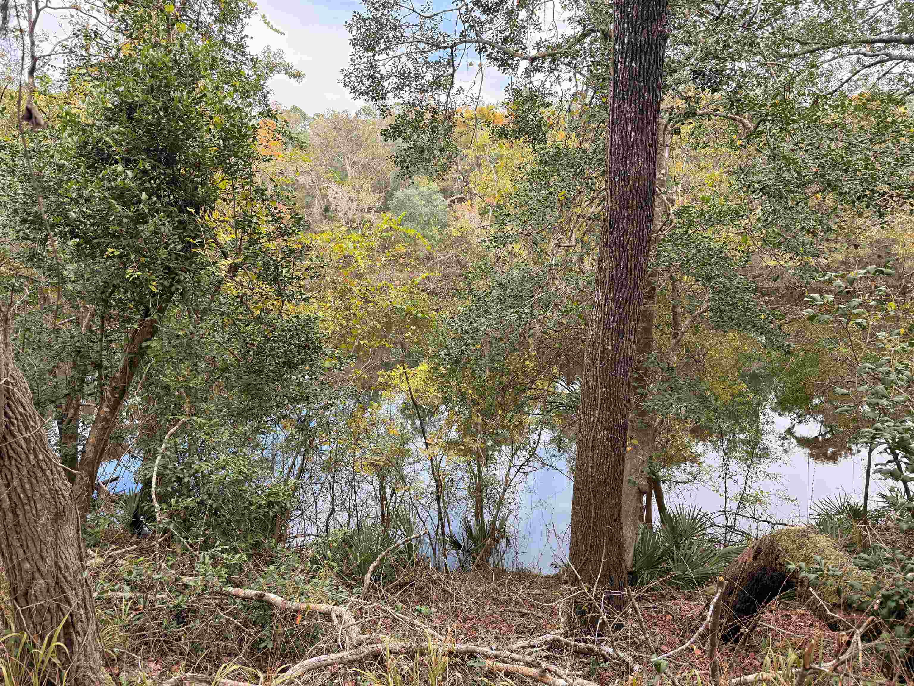 526 Northeast N Riverbend Way Pinetta, FL 32350 - Photo 6 of 26